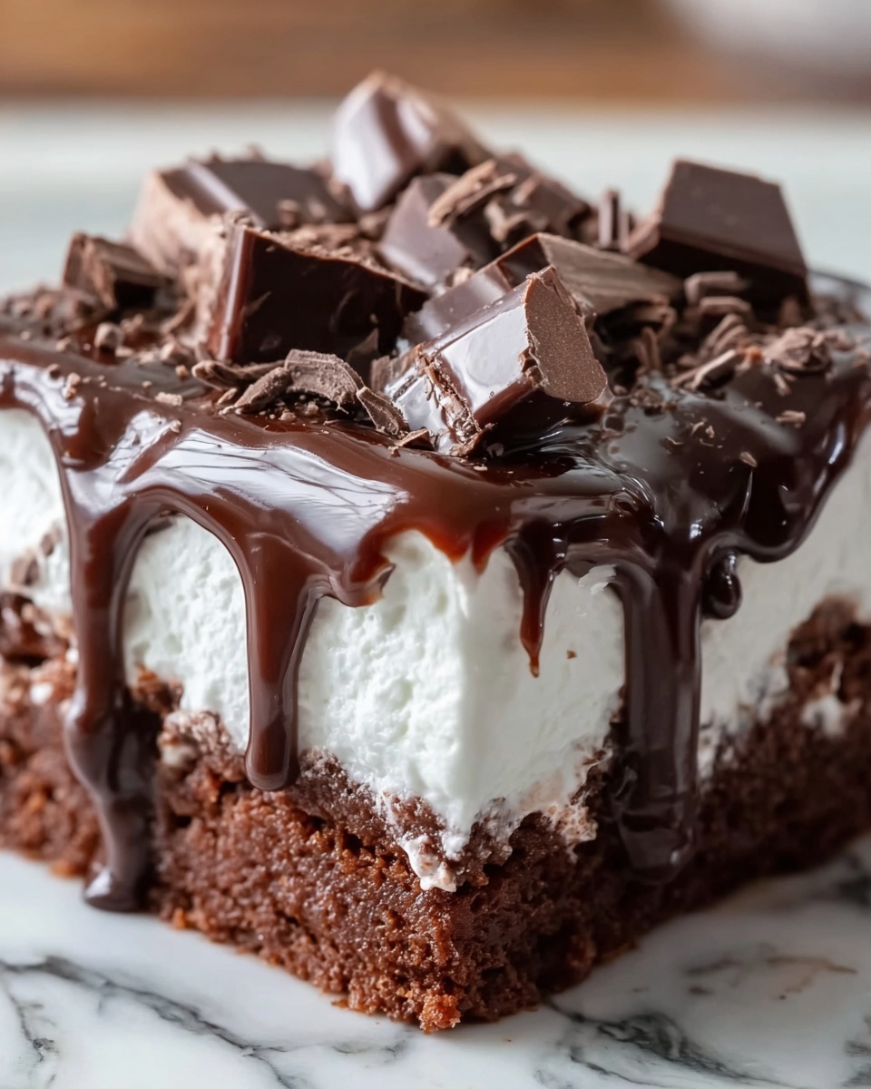 Mississippi Mud Cake Recipe - Recipe Image