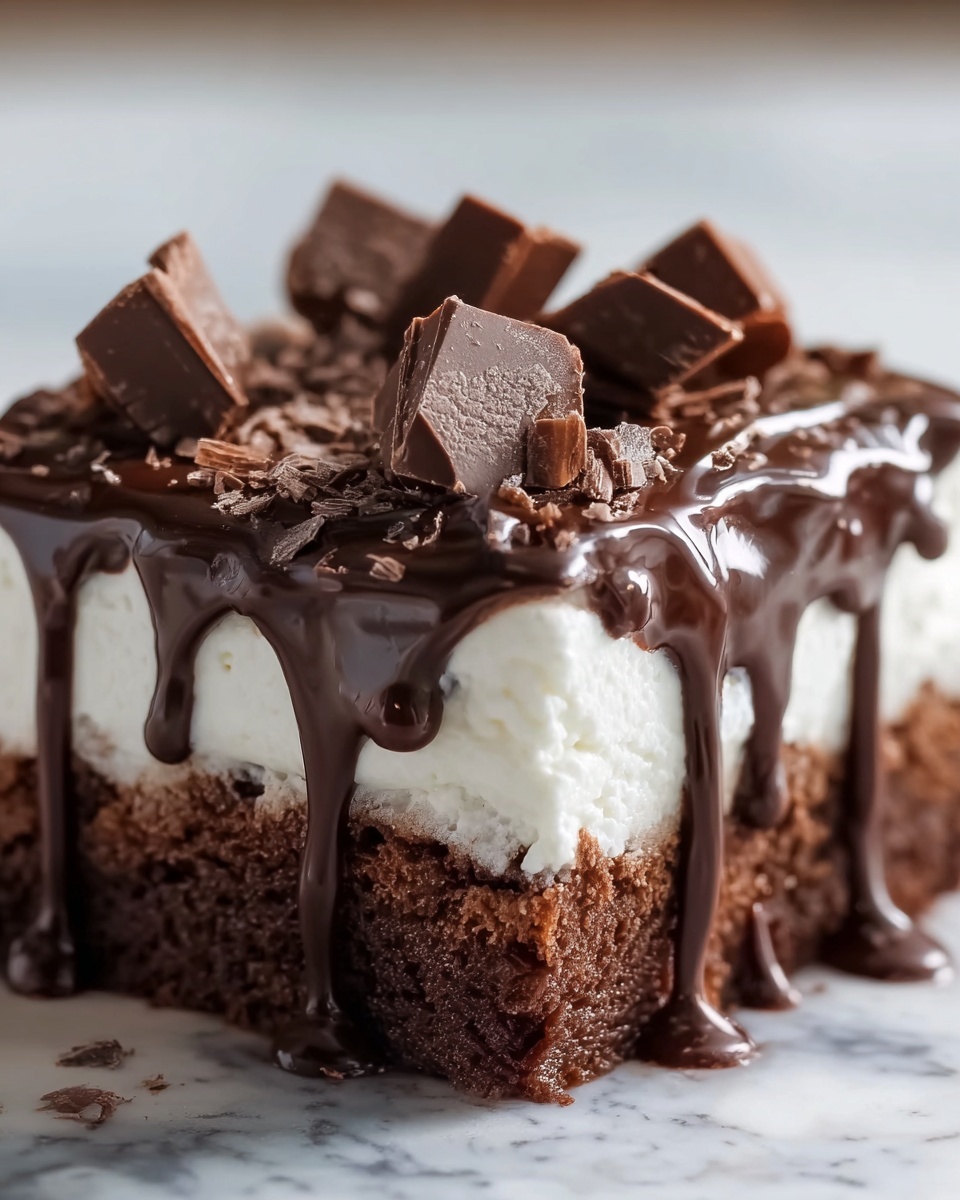 Mississippi Mud Cake Recipe - Recipe Image