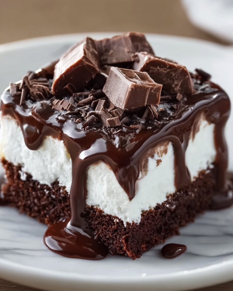 Mississippi Mud Cake Recipe