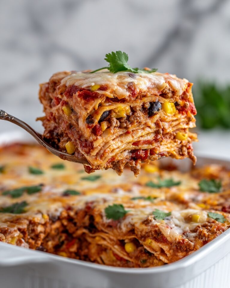 Southwestern Black Bean Casserole Recipe