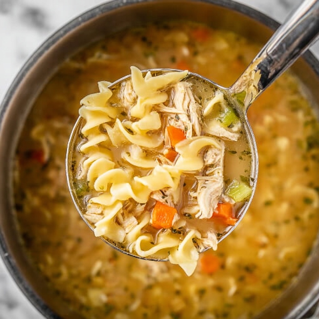 Mississippi Chicken Noodle Soup Recipe - Recipe Image