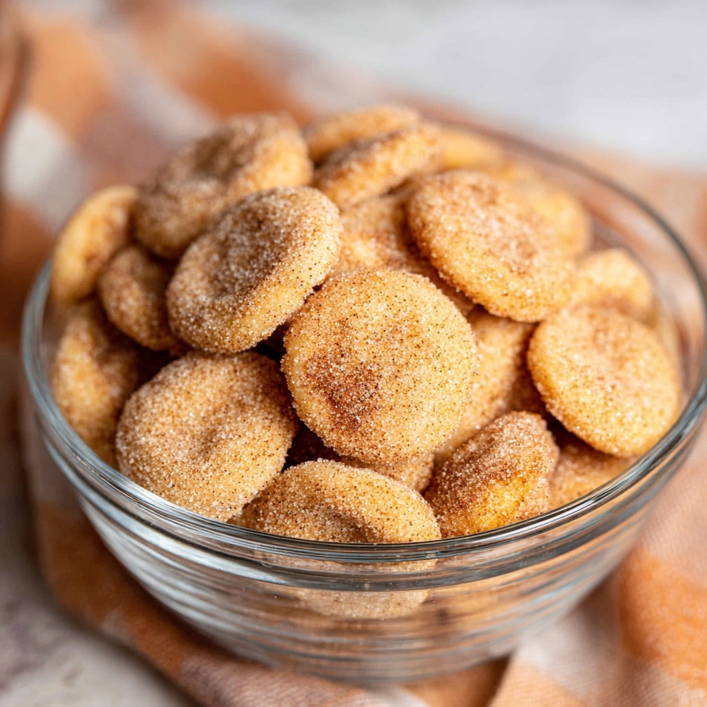 Cinnamon Sugar Churro Bites with Ritz Bits Peanut Butter Crackers Recipe - Recipe Image