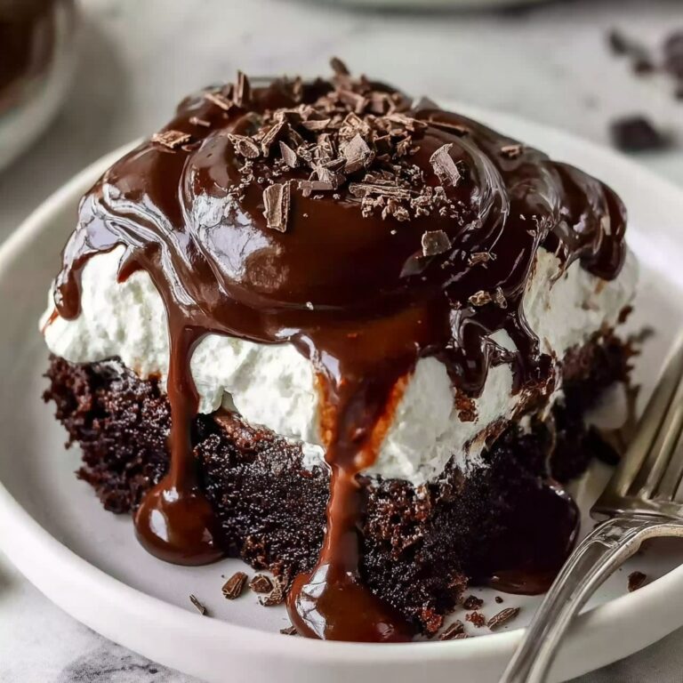 Hot Fudge Chocolate Pudding Cake Recipe